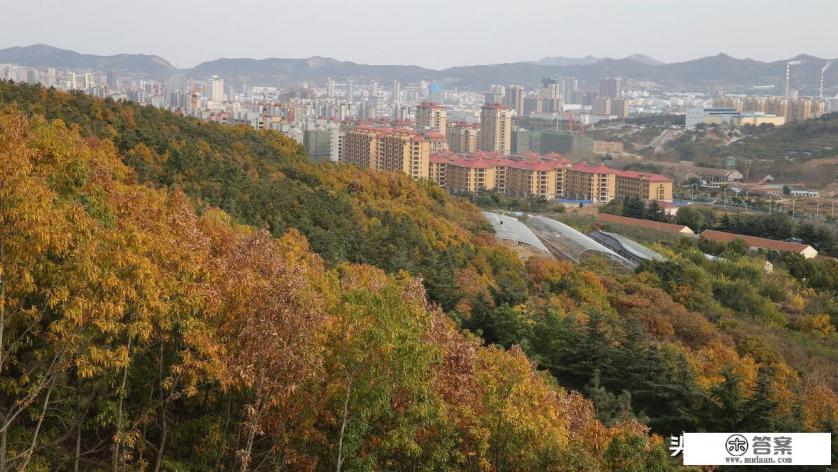 威海比日照如何，哪个更好玩？