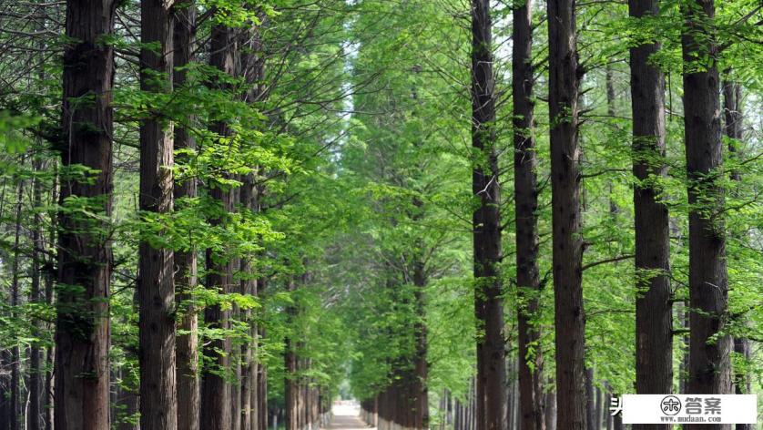 威海比日照如何，哪个更好玩？