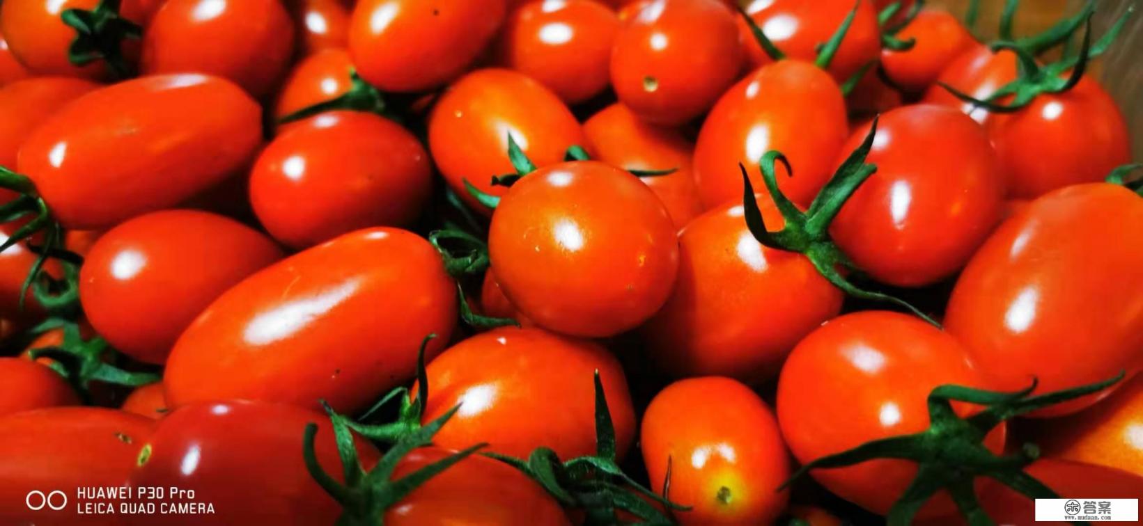 十个月宝宝早教内容有哪些？