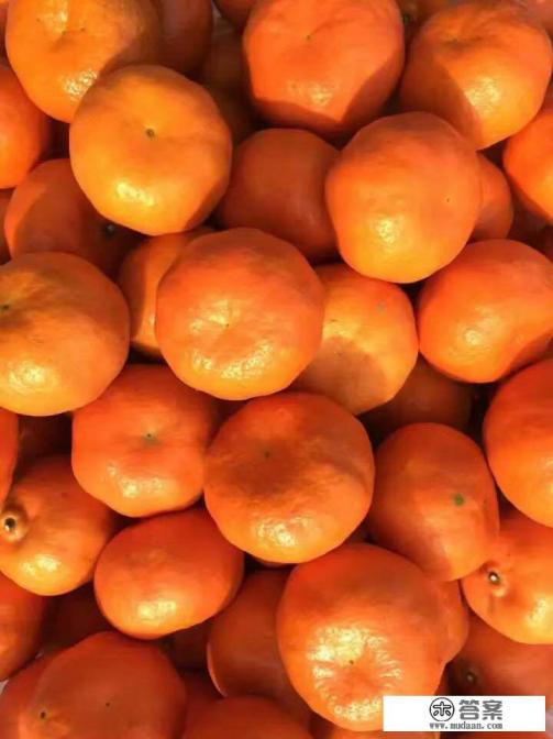 十个月宝宝早教内容有哪些？