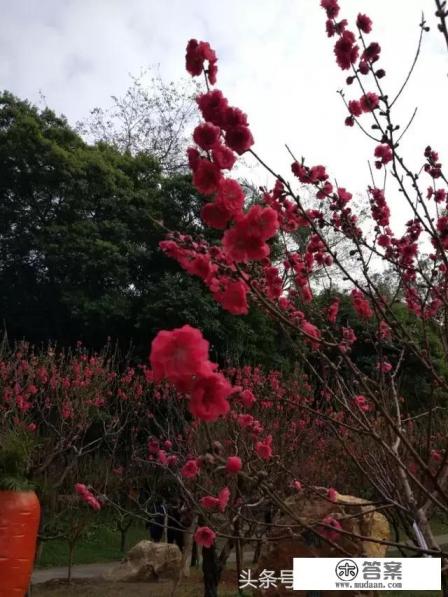 广州多少旅游景点？