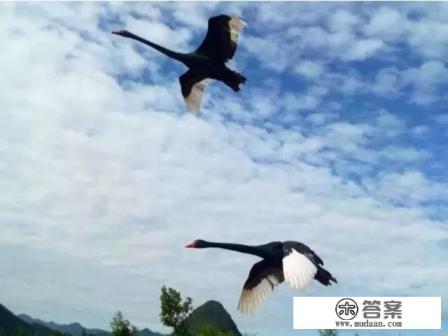 衡阳生态公园离林隐休闲度假山庄怎么走？