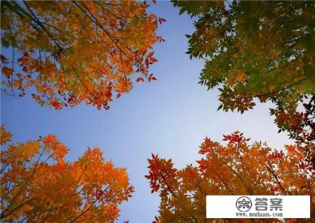 谁推荐几首适合做旅游视频背景音乐的歌曲最好? 谁推荐几首适合做旅游视频背景音乐的歌曲最好?