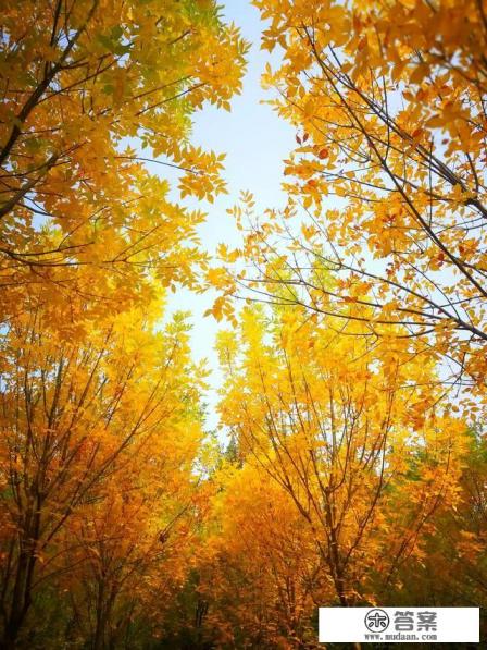 谁推荐几首适合做旅游视频背景音乐的歌曲最好? 谁推荐几首适合做旅游视频背景音乐的歌曲最好?