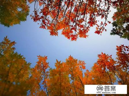 谁推荐几首适合做旅游视频背景音乐的歌曲最好? 谁推荐几首适合做旅游视频背景音乐的歌曲最好?