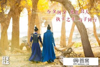 宁为将军不为妃叶轻摇结局? 宁为将军不为妃叶轻摇结局?