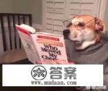 大学英语专业都学什么? 大学英语专业都学什么?