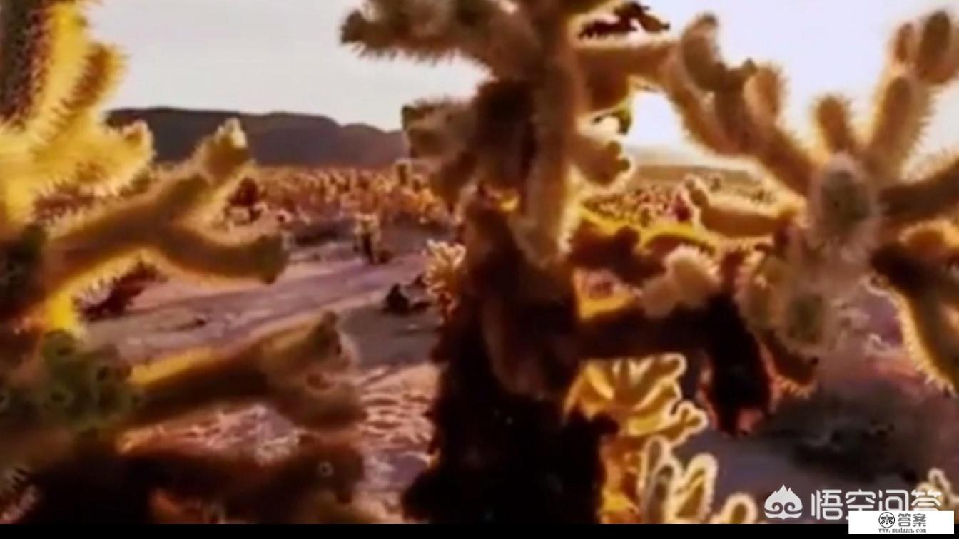 前男友朋友圈的背景图一直用的是和女生旅游时拍的风景图,分开好几个月了,是因为没有新图又懒得换吗? 前男友朋友圈的背景图一直用的是和女生旅游时拍的风景图,分开好几个月了,是因为没有新图又懒得换吗?