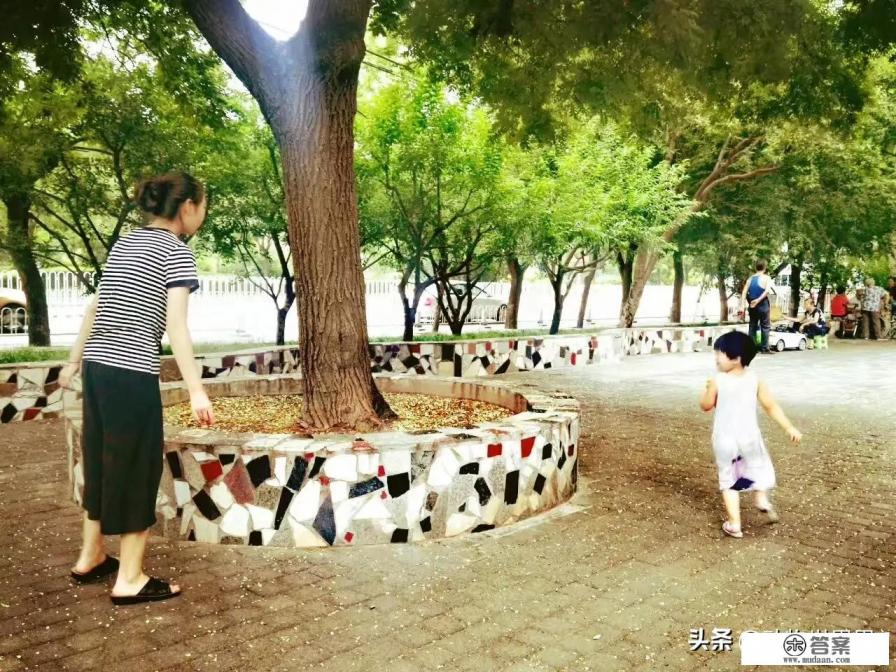 小鸡模拟器游戏闪退怎么办？