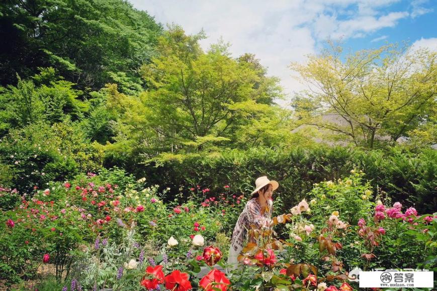 东京周边有哪些小众旅行地? 东京周边有哪些小众旅行地?