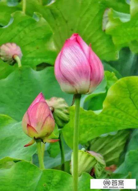 你叫我好甜是什么意思? 你叫我好甜是什么意思?