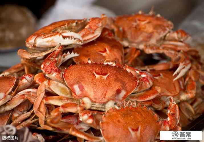 怀孕了想上网看看该吃什么,为什么网上有人说这东西能吃,有人说这东西不能吃,该怎么办? 怀孕了想上网看看该吃什么,为什么网上有人说这东西能吃,有人说这东西不能吃,该怎么办?