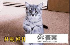 谁能以“抱歉,我要的你给不起”写一篇微小说? 谁能以“抱歉,我要的你给不起”写一篇微小说?