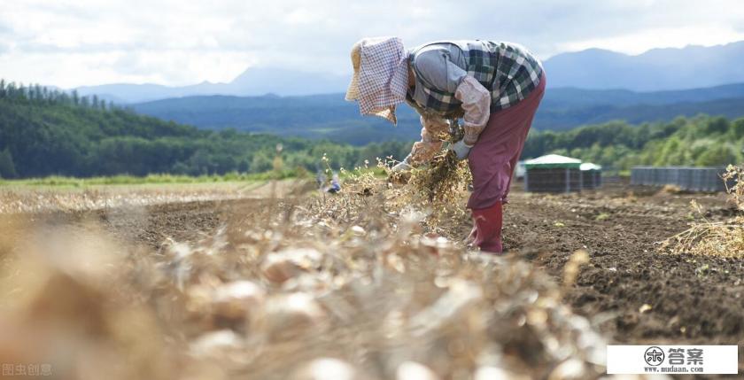 找一部小说,女主不是人类但女主收养了三个儿子分别是军政商三地的大佬，这三儿子好像就是男主们。都姓林？