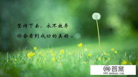 为了生存而努力是什么意思？