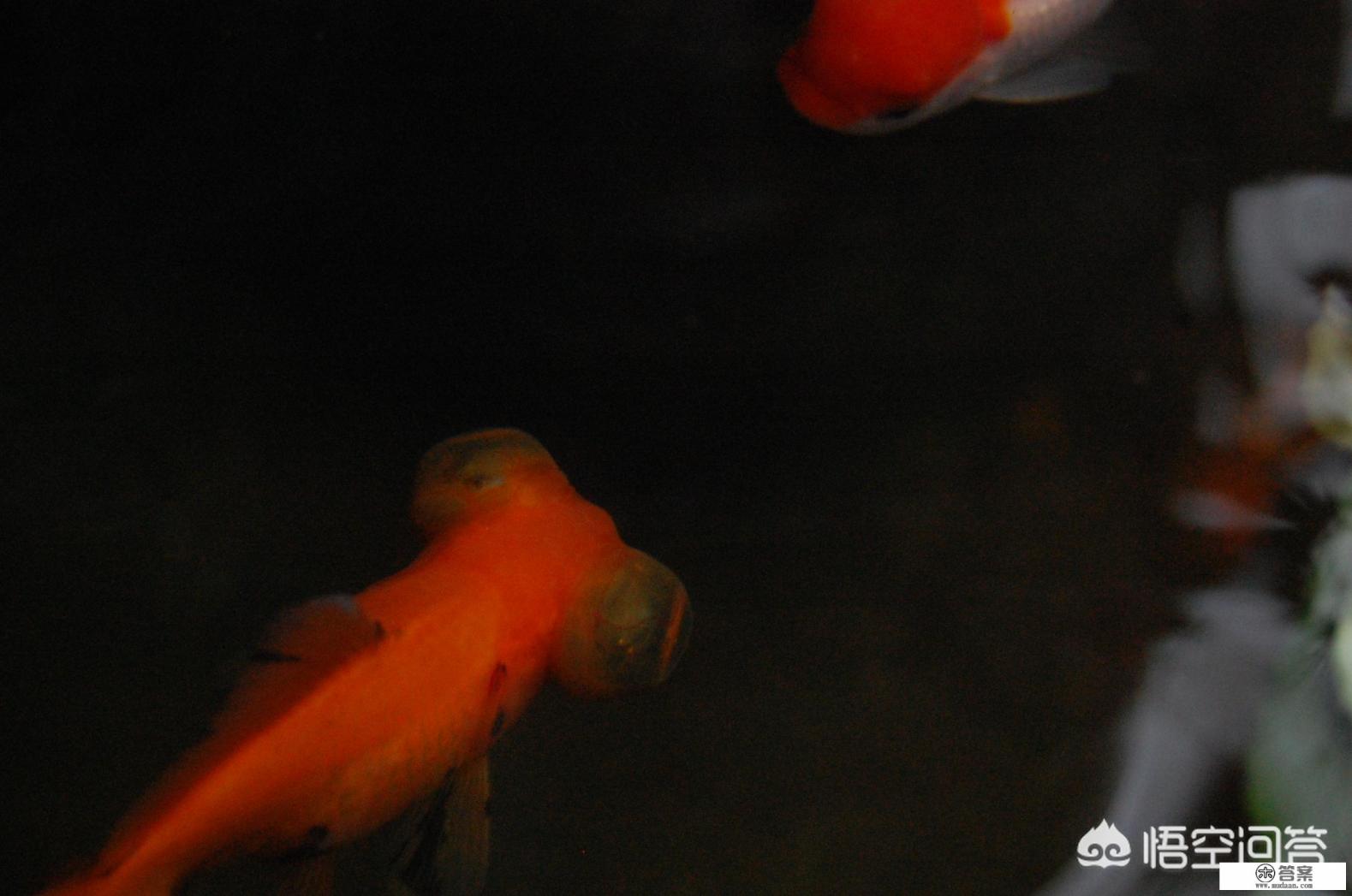 厌倦了目前的生活，又逃脱不了！怎么办？