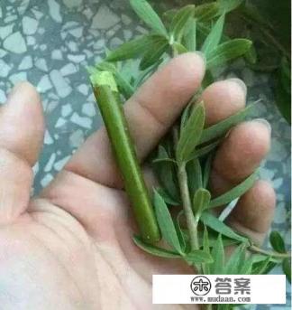 粘土无人岛游戏攻略? 粘土无人岛游戏攻略?