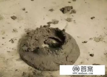 粘土无人岛游戏攻略? 粘土无人岛游戏攻略?