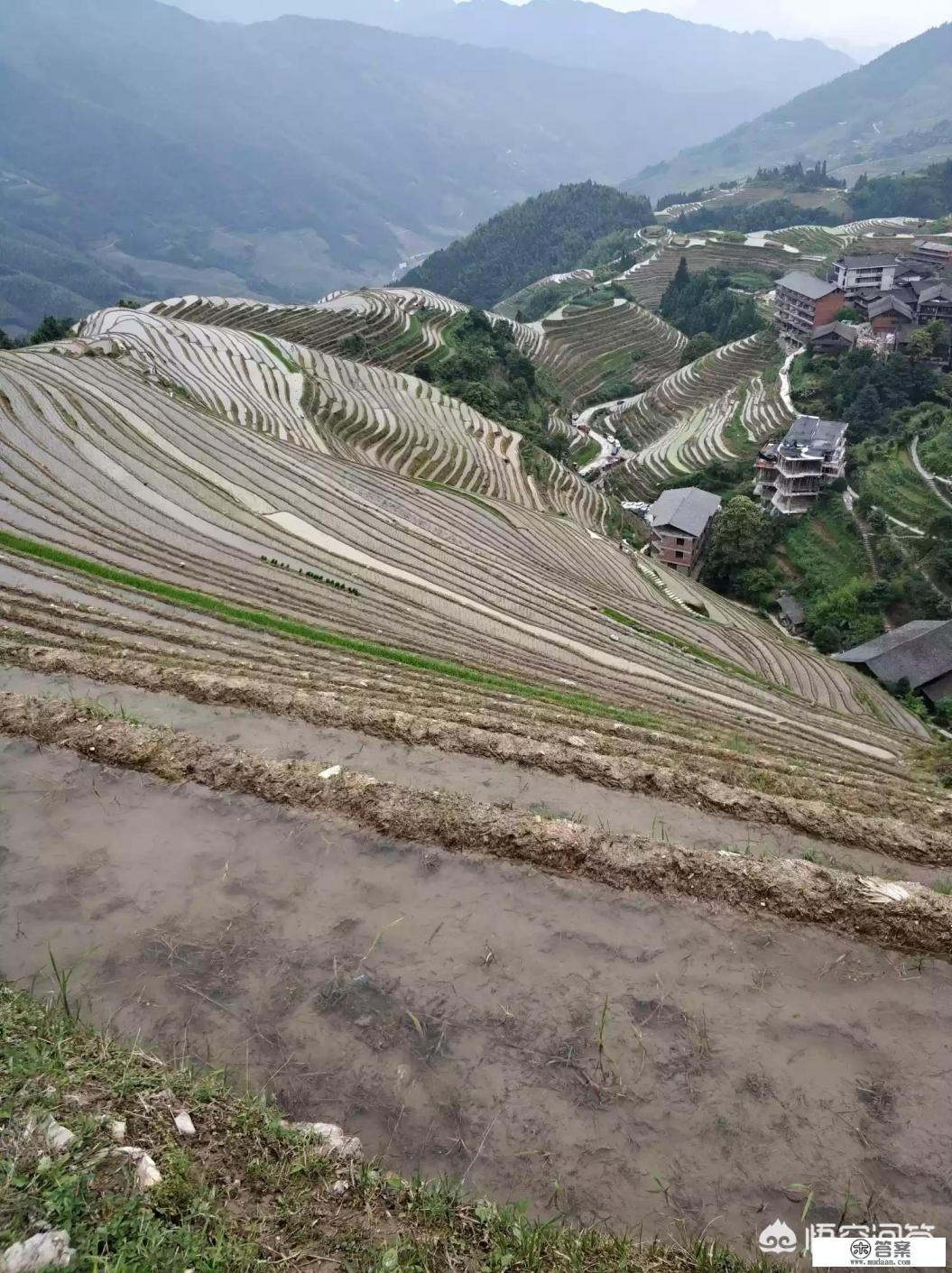海口到桂林旅游四天三夜? 海口到桂林旅游四天三夜?