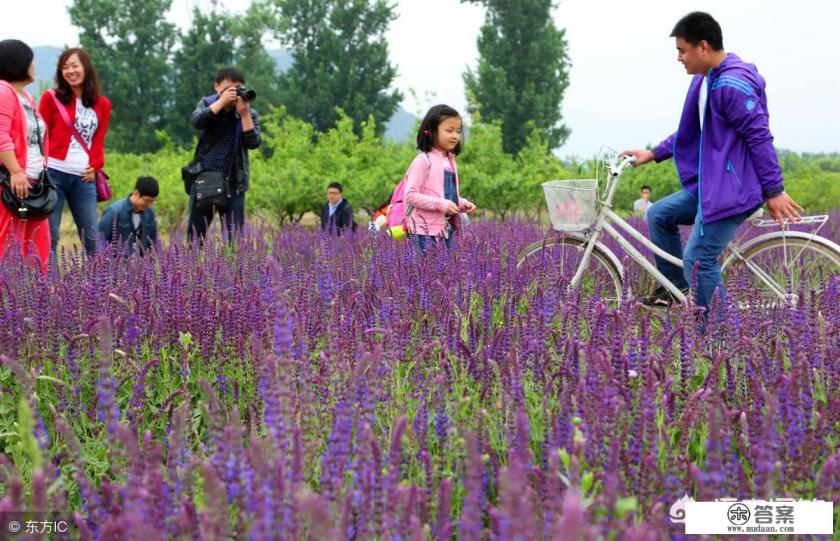 农村养生旅游潜力巨大,如何从中分一杯羹? 农村养生旅游潜力巨大,如何从中分一杯羹?