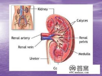 肾病综合征能治愈吗? 肾病综合征能治愈吗?