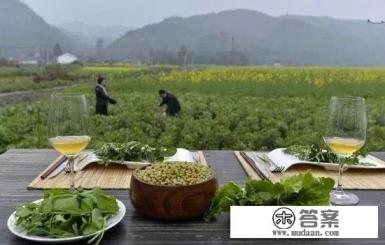 乡村旅游的特点是什么?如何开发乡村旅游? 乡村旅游的特点是什么?如何开发乡村旅游?