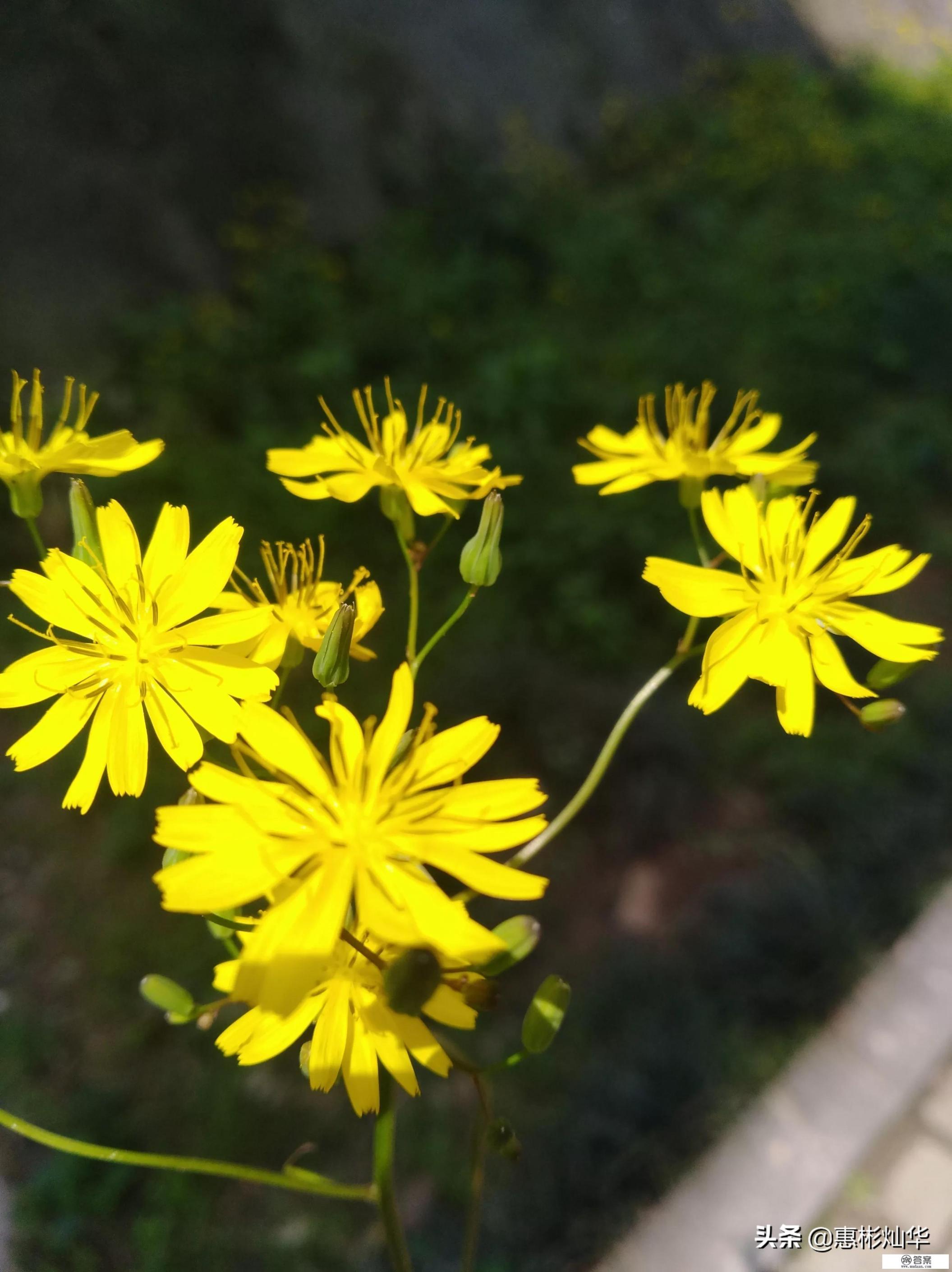 信用卡欠款30万,是多张信用卡,收入一个月五千,亲戚朋友也借不到钱了,怎么办? 信用卡欠款30万,是多张信用卡,收入一个月五千,亲戚朋友也借不到钱了,怎么办?