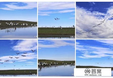 车游湿地公园免费吗？