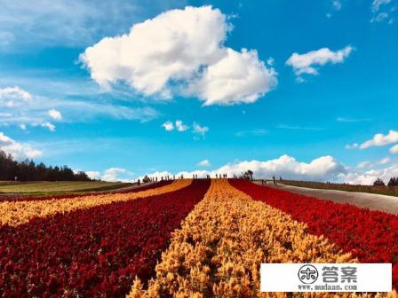 10月境外旅游去哪好呢? 10月境外旅游去哪好呢?