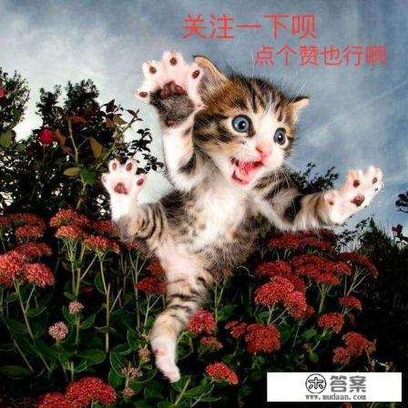 大学期间有必要做兼职吗？