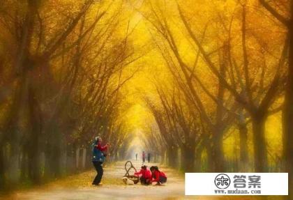 春天,浙江省内自驾2日3日游,哪里较好? 春天,浙江省内自驾2日3日游,哪里较好?