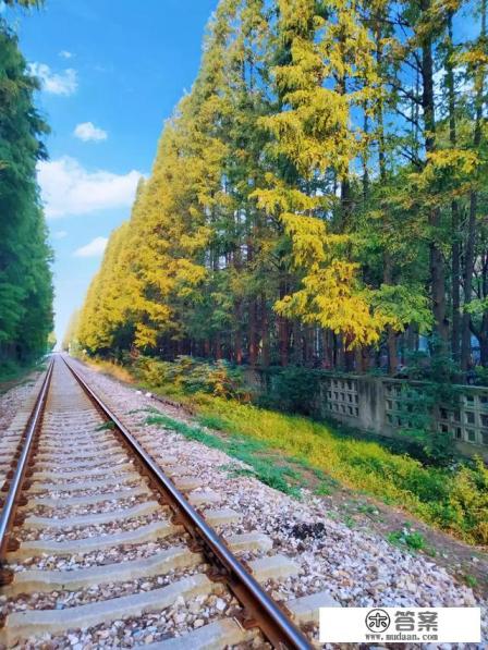 苹果手机的游玩记录怎么查看？