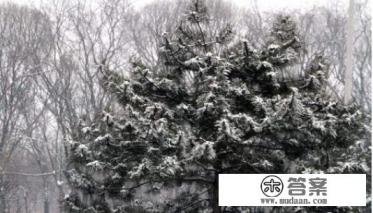 “岁寒知松柏,患难见真情”全诗是什么？