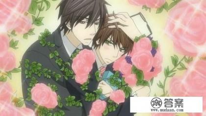 有什么又搞笑女主角又多的小说？