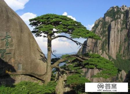 旅游建设的意义？