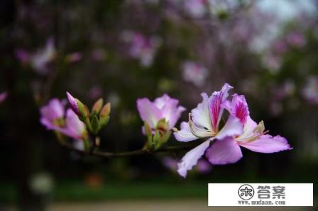 乡村旅游和产品开发实施方案？