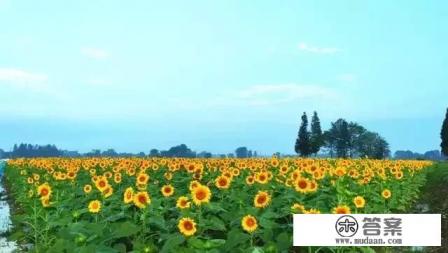 云南旅游有什么限制条件？