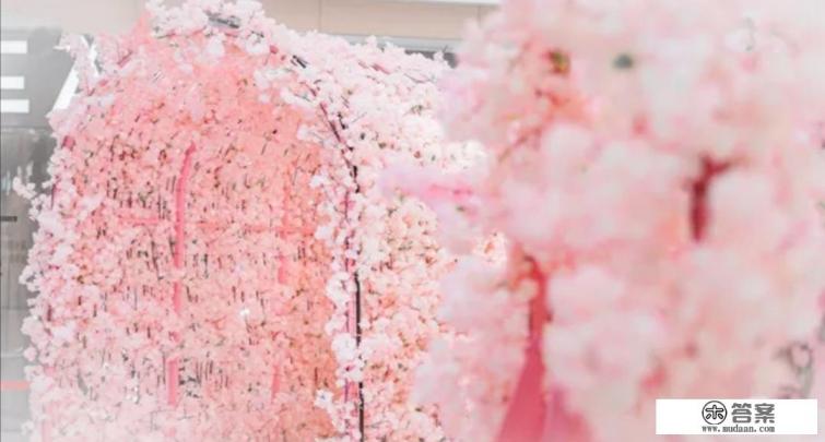 岳阳踏青好去处？