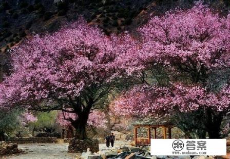 适合一个人旅游散心的地方有哪些？