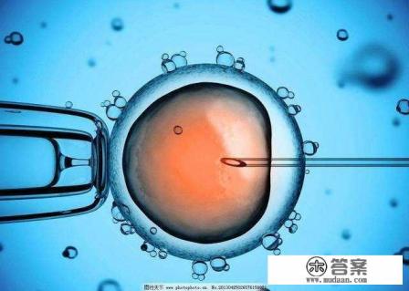 做试管婴儿需多少钱？