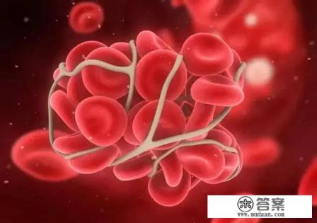 人体的血液是属于什么组织？