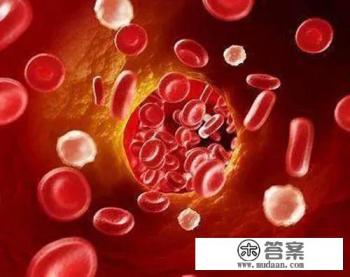 人体的血液是属于什么组织？