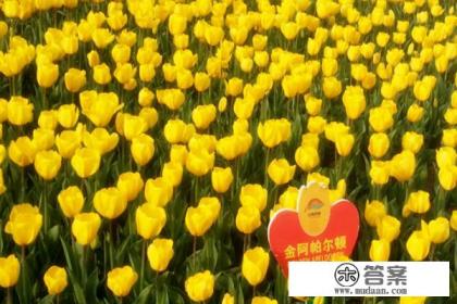 昆明到丽江旅游线路和费用？