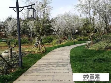 贵州茅台酒公众号预约是真的吗? 贵州茅台酒公众号预约是真的吗?