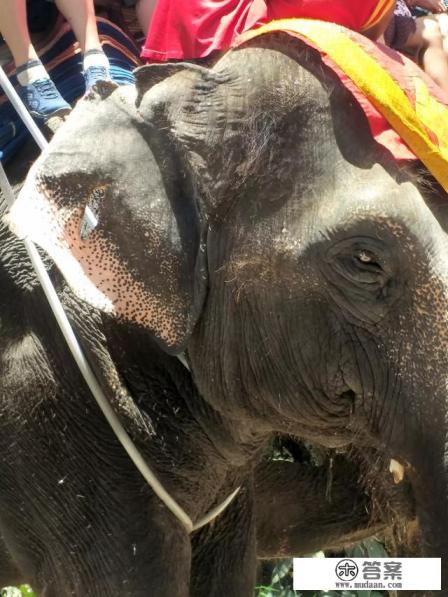 泰国甲米,曼谷怎么玩?有哪些景点和去处值得推荐? 泰国甲米,曼谷怎么玩?有哪些景点和去处值得推荐?