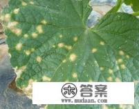 有过炭疽病的地怎样处理？