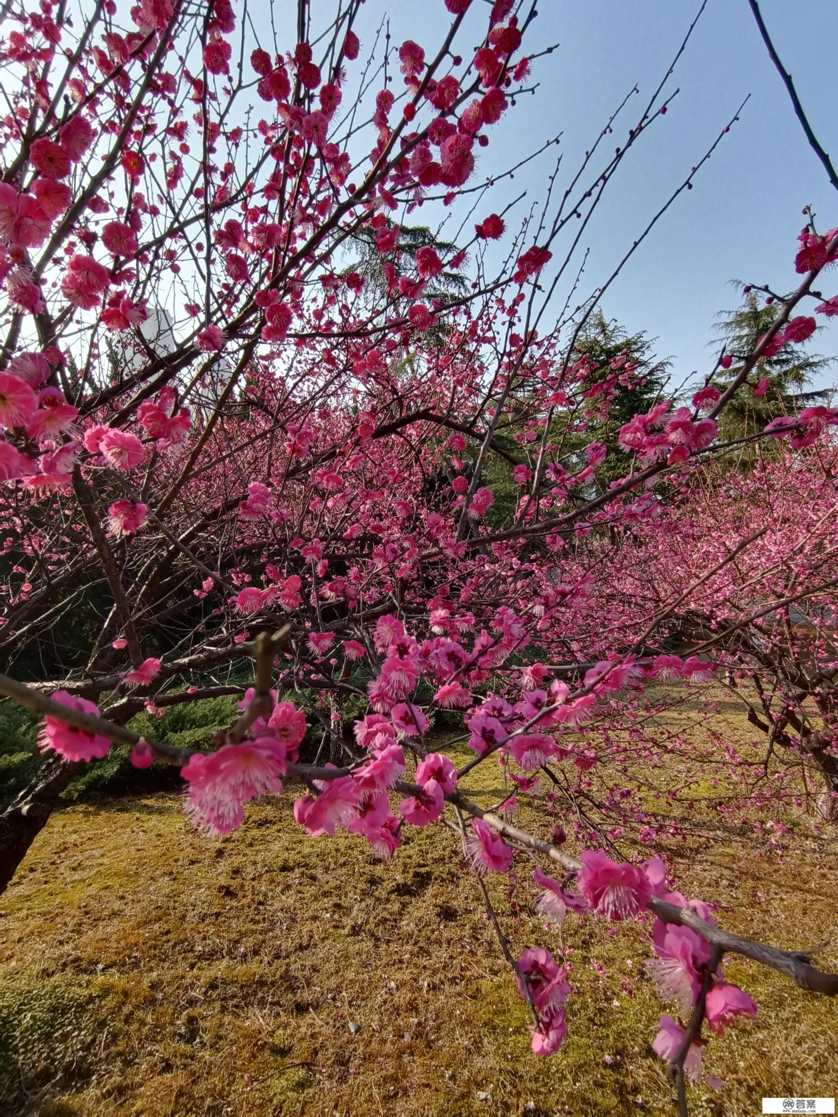 常德桃花源怎么样，好玩吗？
