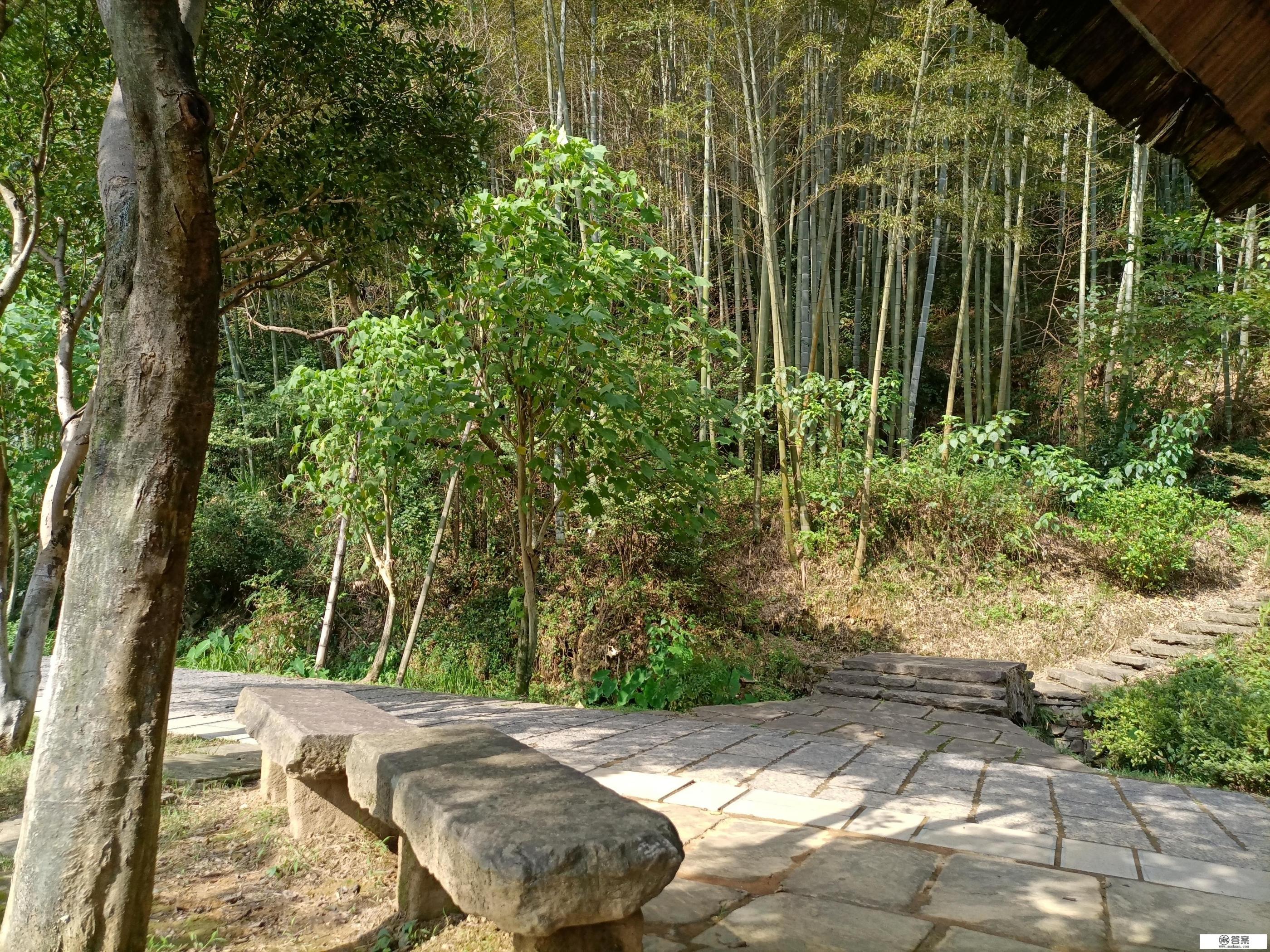 常德桃花源怎么样，好玩吗？