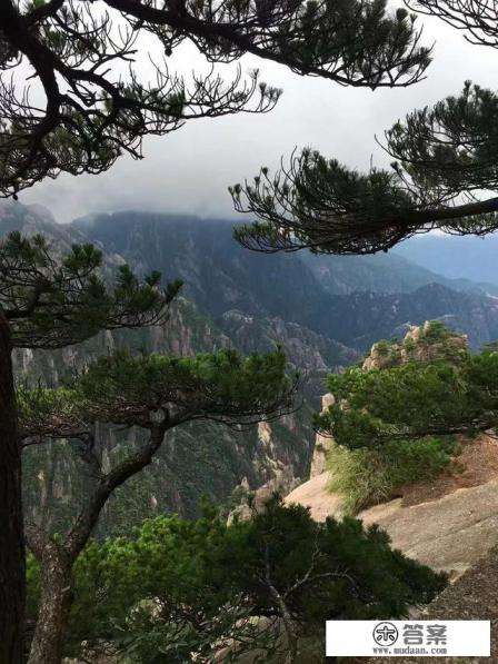 黄山二日自驾游攻略，少走路？