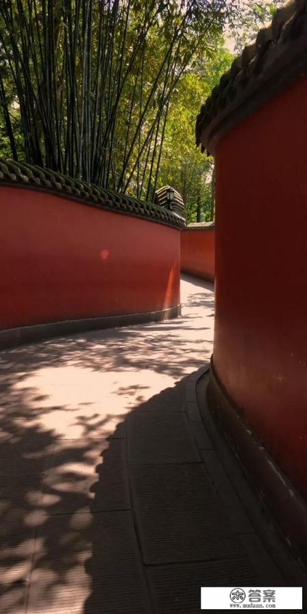 去旅游，用什么相机好？